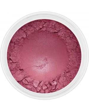 Eye Shadow Cranberry Cookie No.009