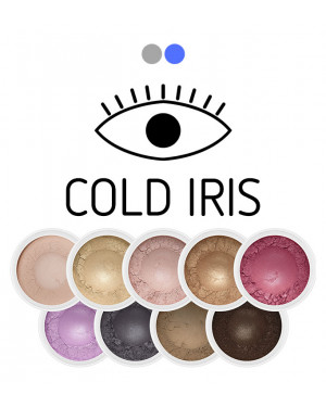 Cold Iris mini Eye Shadow Set